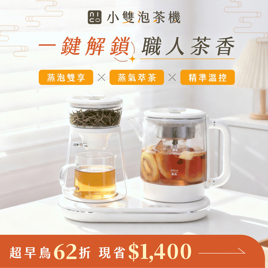 【超早鳥62折】𝗡𝗜𝗖𝗢𝗡𝗜𝗖𝗢 小雙泡茶機｜雙壺蒸泡 × 茶水分離 × 精準溫控，簡單泡出職人級茶香